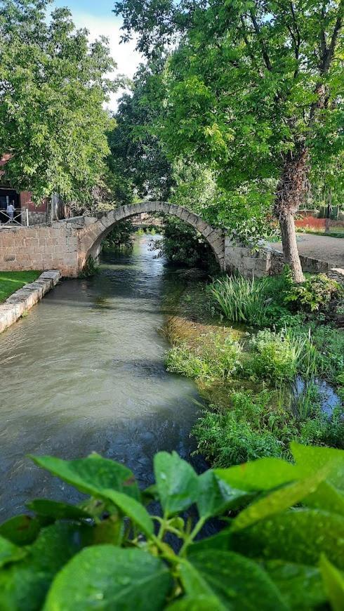Aromas Del Jiloca Lägenhet Calamocha Exteriör bild